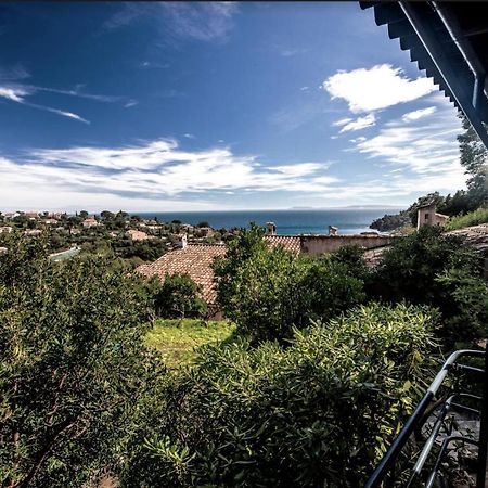 Petite Maison De Vacance Vue Mer Льо Лаванду Екстериор снимка