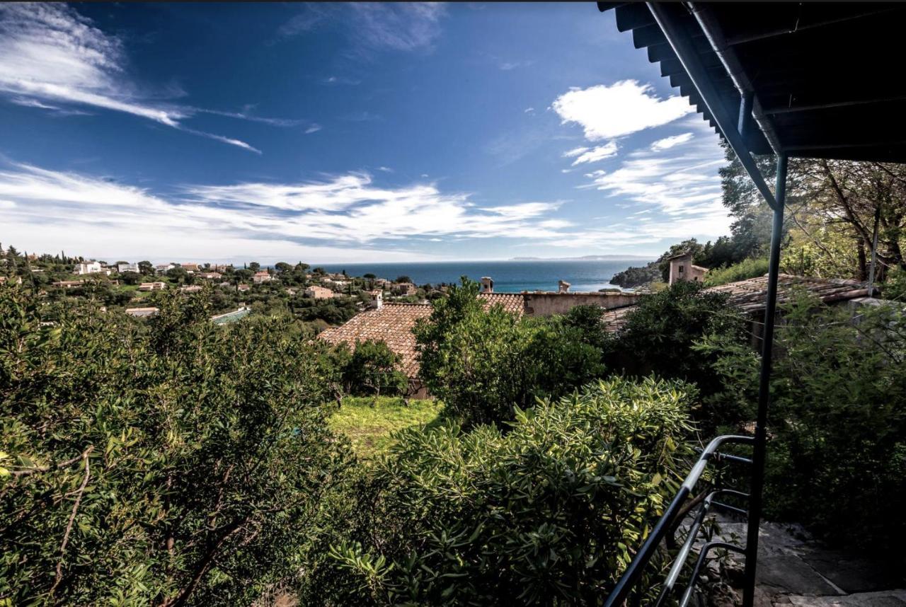 Petite Maison De Vacance Vue Mer Льо Лаванду Екстериор снимка